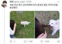 처음 만난 애기 강아쥐에게 머리 뜯겼던 좋은 추억사진을 발견했다 - 악플달면 쩌리쩌려버려 - ＊여성시대＊ 차분한 20대들의 알흠다운 공간 처음... 