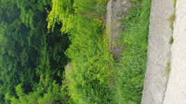 단양군 소형대지 팝니다 - ····▶단양군 매물 - 토지 임야 태양광 중개컨설팅 봉화부동산중개법인 태양광연구소 단양군 소형대지 팝니다