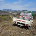 호두농장,고사리,송이등 노후가 보장되는 농장 - 팝니다(본인매물-신규) - [우수카페]귀농사모/한국귀농인협회 호두농장,고사리,송이등 노후가... 