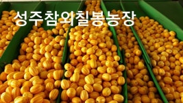 성주참외 입점기념 - 과일/채소/쌀/잡곡/ - [우수카페]귀농사모/한국귀농인협회 성주참외 입점기념