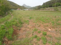 영월군 한반도면 신천리 토지 급 매도 합니다[[[[[매도완료 되어습니다 ]]]]]] - 1억이하 작은 토지/주택(개인) - [우수카페]귀농사모/한국귀농인협회... 