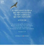 시편 30 - 공연마이피온님 방 - 장미나라의 요정 시편 30