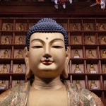 삼정사카페에 - 맑은 자유게시판 - 나무아미타불 삼정사카페에