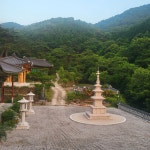 노느니 염불한다는 - 맑은 자유게시판 - 나무아미타불 노느니 염불한다는