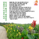 염불하는 이 마음을 따라 육신과 환경이 변화된다 - 念佛불자의 장 - 나무아미타불 염불하는 이 마음을 따라 육신과 환경이 변화된다