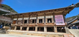 전남ㅡ구례 - ┏대곡동문님 ━━━━┓　┗━━━━ 자유게시판┛ - 대곡동문회 쉼터 전남ㅡ구례