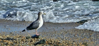 해파랑길 ㅡ26코스 일부구간 - ┏대곡동문님 ━━━━┓　┗━━━━ 자유게시판┛ - 대곡동문회 쉼터 해파랑길 ㅡ26코스 일부구간