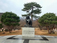 설악산 ㅡ토왕성폭포 - ┏대곡동문님 ━━━━┓　┗━━━━ 자유게시판┛ - 대곡동문회 쉼터 설악산 ㅡ토왕성폭포