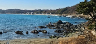 해파랑길 ㅡ26코스 일부구간 - ┏대곡동문님 ━━━━┓　┗━━━━ 자유게시판┛ - 대곡동문회 쉼터 해파랑길 ㅡ26코스 일부구간