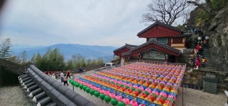 전남ㅡ구례 - ┏대곡동문님 ━━━━┓　┗━━━━ 자유게시판┛ - 대곡동문회 쉼터 전남ㅡ구례