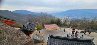전남ㅡ구례 - ┏대곡동문님 ━━━━┓　┗━━━━ 자유게시판┛ - 대곡동문회 쉼터 전남ㅡ구례