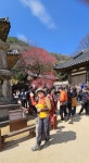 전남ㅡ구례 - ┏대곡동문님 ━━━━┓　┗━━━━ 자유게시판┛ - 대곡동문회 쉼터 전남ㅡ구례
