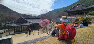 전남ㅡ구례 - ┏대곡동문님 ━━━━┓　┗━━━━ 자유게시판┛ - 대곡동문회 쉼터 전남ㅡ구례