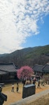 전남ㅡ구례 - ┏대곡동문님 ━━━━┓　┗━━━━ 자유게시판┛ - 대곡동문회 쉼터 전남ㅡ구례