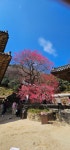 전남ㅡ구례 - ┏대곡동문님 ━━━━┓　┗━━━━ 자유게시판┛ - 대곡동문회 쉼터 전남ㅡ구례