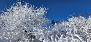 발왕산 - ┏대곡동문님 ━━━━┓　┗━━━━ 자유게시판┛ - 대곡동문회 쉼터 발왕산