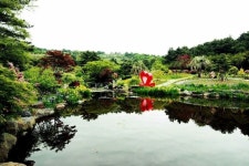 제주 상효원 - 프라이빗 앨범 - 한국 저먼 세퍼드 클럽 (myGSD) 제주 상효원