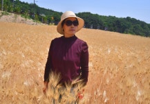 능내리 물소리 길 - ⓑ 여행정보,여행기 - Rail+ 철도동호회 능내리 물소리 길