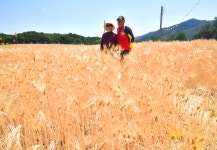 능내리 물소리 길 - ⓑ 여행정보,여행기 - Rail+ 철도동호회 능내리 물소리 길