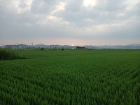 들녁의 아침해 - 풍경사진 갤러리 - Rail+ 철도동호회 들녁의 아침해
