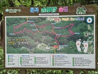 치악산 운곡 솔바람 숲길 - 길동무 개인 여행기 - 울산도보여행클럽 치악산 운곡 솔바람 숲길
