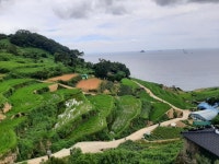 남파랑길 남해 42코스(남해바래길탐방센터~다랭이마을)도보여행 - 남파랑길 - 울산도보여행클럽 남파랑길 남해 42코스(남해바래길탐방센터... 