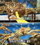 대게와킹크랩돌꼬망쭌포차 | 대게와 킹크랩의 차이점 - ㆍ신박한 사진방 - 한류열풍 사랑 대게와 킹크랩의 차이점