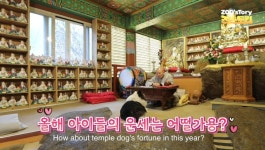 같이 사는 강아지들 사주 봐주는 스님 - ㆍ신박한 사진방 - 한류열풍 사랑 같이 사는 강아지들 사주 봐주는 스님