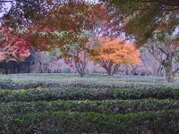 가을 속에 - :D 설아다원의 하루 * - 설아다원 가을 속에