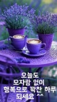개장수말은 알아듣는놈이 - ▒☞ 좋은글과향기영상 - 커피향기영상천국 개장수말은 알아듣는놈이