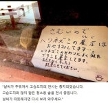 일본 어느 고슴도치 전시관 - 우하하하 - 강박증과 피해감수 일본 어느 고슴도치 전시관
