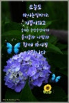 마음이 행복해지는 이미지 영상글 모음 - ‥‥영상 ♡ 좋은글 - 향기있는 좋은글 마음이 행복해지는 이미지 영상글 모음