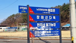 11/29 장태산 오동임도와 산직임도 라이딩 다녀왔어요~ - 아자여 - 대전... (아자여) 11/29 장태산 오동임도와 산직임도 라이딩 다녀왔어요~
