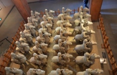 [설날특선]이렛날의 초한지 항우와 유방의 서주에서 칭다오그리고 손오공의 화과산까지까지 - ☃️2월14일설날연휴 7일-서주*린이*칭다오... 