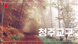 야곱여행사주 | 2021년 야곱 전국 성지순례 - 야곱 전국성지순례 - 주)야곱 여행사 가톨릭 성지순례 2021년 야곱 전국 성지순례