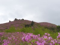 전남 보성 초암산 산행기 - .....•정기산행♡앨~범... - 백마산우회 백마산우회