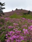 전남 보성 초암산 산행기 - .....•정기산행♡앨~범... - 백마산우회 백마산우회