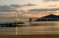 광안리 테넌바움 294 최대 5억 특별할인분양 - 광안리 테넌바움294 - 부산맘카페 - 부경맘 사상구맘 수영구맘 부산진구맘 해기맘 까페 광안리... 
