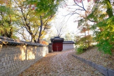 창덕궁의 만추-2 - 2025 사진 - 향유 냄새 나는 집 - 아굴라와 브리스가 창덕궁의 만추-2