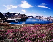 백두산 천지의 6월 - 초대사진방 - 향유 냄새 나는 집 백두산 천지의 6월