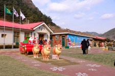 백두대간 협곡열차 (V-Train) - 2026 사진 - 향유 냄새 나는 집 백두대간 협곡열차 (V-Train)