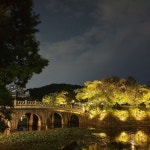 대구 두류공원 성당못 야경 - 악플달면 쩌리쩌려버려 - ＊여성시대＊ 차분한 20대들의 알흠다운 공간 대구 두류공원 성당못 야경