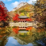 더쿠 - 단풍이 물든 내장산 백양사.jpg