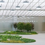 현대백화점 목동점에 조성된 실내정원 글라스 하우스 - 웃긴자료 ‥‥‥‥‥、 - 도탁스 (DOTAX) 현대백화점 목동점에 조성된 실내정원... 