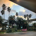 사진만 봐도 괜히 설레는 기분, 제주 국제공항 - 웃긴자료 ‥‥‥‥‥、 - 도탁스 (DOTAX) 사진만 봐도 괜히 설레는 기분, 제주 국제공항