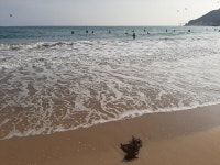 더쿠 - 겨울바다 부산 송정해변.jpg