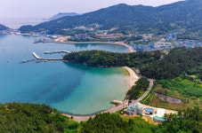 푸르니, 푸르러도 너무 푸르니 검다고 한 - ★ ··· 하프타임 - 樂soccer 푸르니, 푸르러도 너무 푸르니 검다고 한