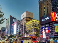 강남대로 야경 - 웃긴자료 ‥‥‥‥‥、 - 도탁스 (DOTAX) 강남대로 야경