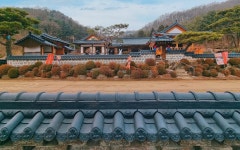 파주 초리골 제빵소 - 동네마당 - 소주담(談) : 소소한 주민들의 이야기 파주 초리골 제빵소