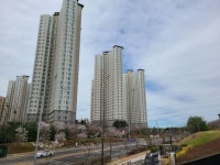 영종 하늘도시 모습들 - 악플달면 쩌리쩌려버려 - ＊여성시대＊ 차분한 20대들의 알흠다운 공간 영종 하늘도시 모습들